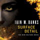 Illustration for article titled io9 Book Club reminder: Meeting 5/3 to discuss Surface Detail